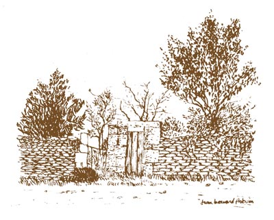 vue4.jpg (35524 bytes)